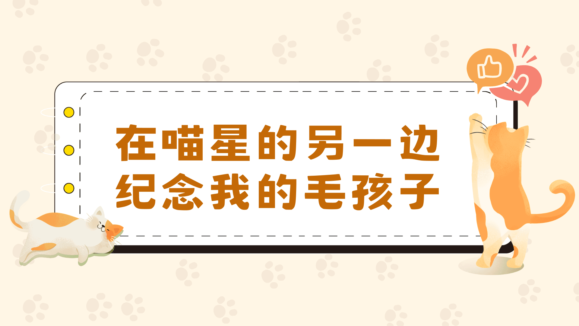 在喵星的另一边 · 纪念我的毛孩子